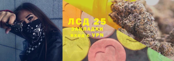 гашик Арсеньев