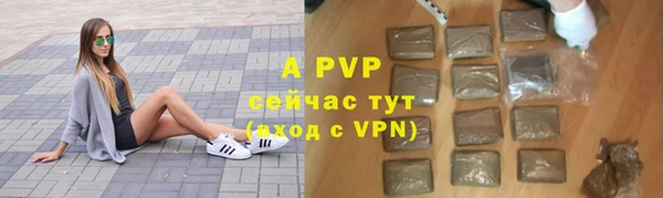гашик Арсеньев