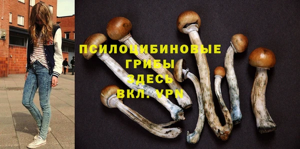 гашик Арсеньев
