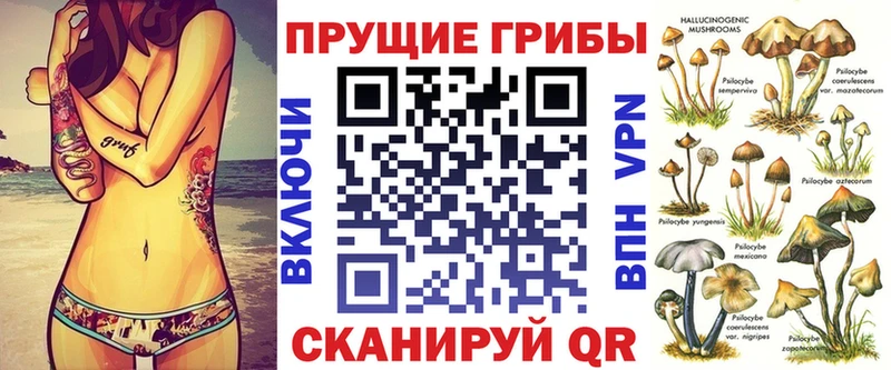 KRAKEN   наркотики  Новосиль  Псилоцибиновые грибы Magic Shrooms 
