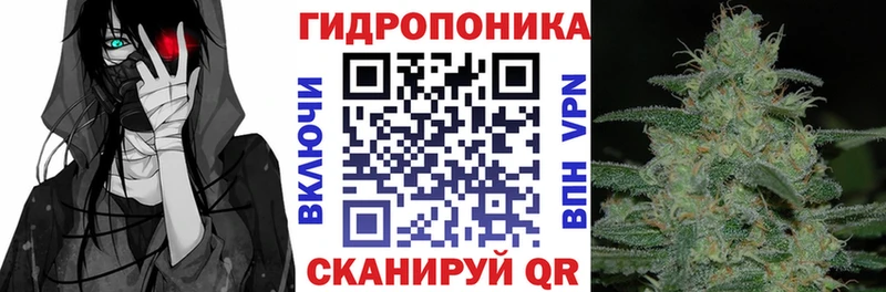 Конопля Bruce Banner  Новосиль 